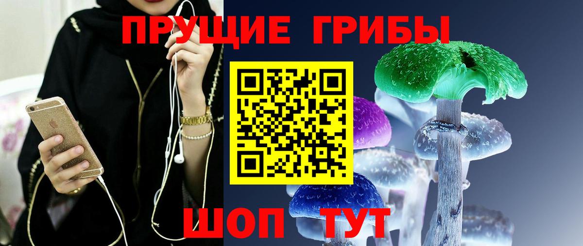 Галлюциногенные грибы Psilocybe  закладка  Галлюциногенные грибы GOLDEN TEACHER  Гудермес  Вход с VPN 